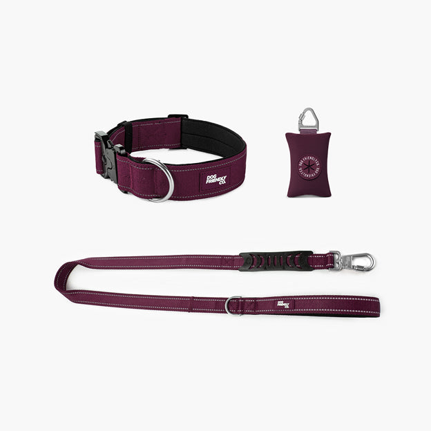 Halsband-Set für Spaziergänge - Burgunder