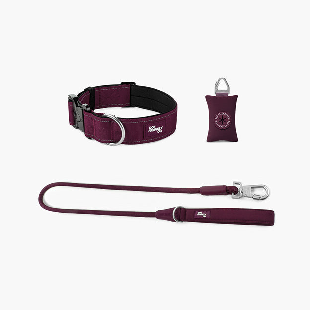 Halsband-Set für Spaziergänge - Burgunder