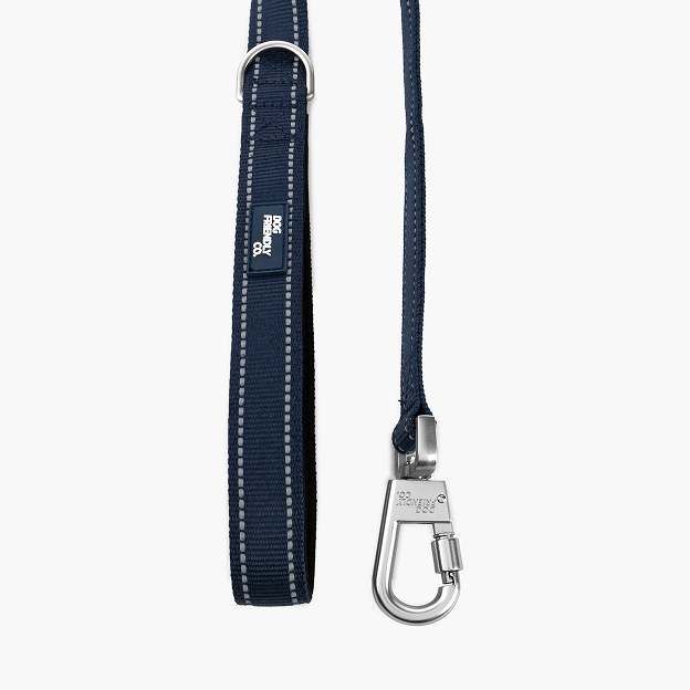Kurze Trainingshundeleine - Marineblau