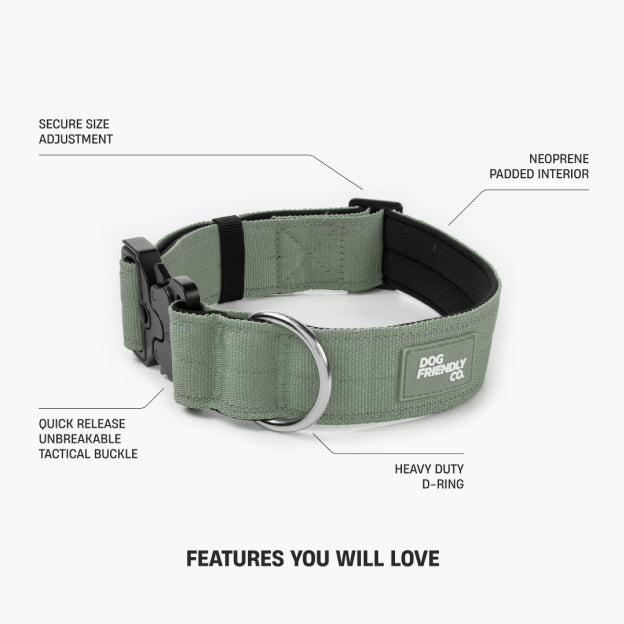 Halsband-Set für Spaziergänge - Khaki
