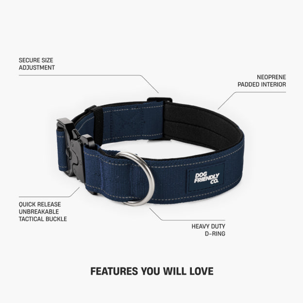 Halsband-Set für Spaziergänge - Marineblau