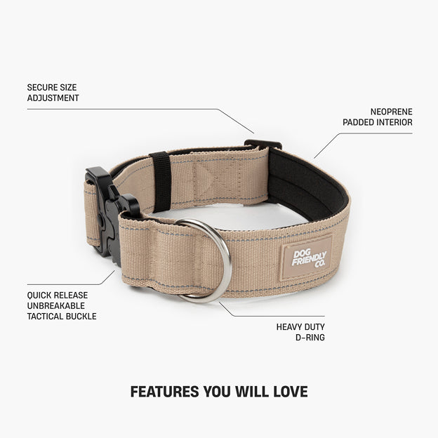 Halsband-Set für Spaziergänge - Braun