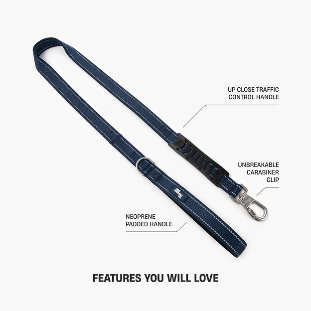 Halsband-Set für Spaziergänge - Marineblau