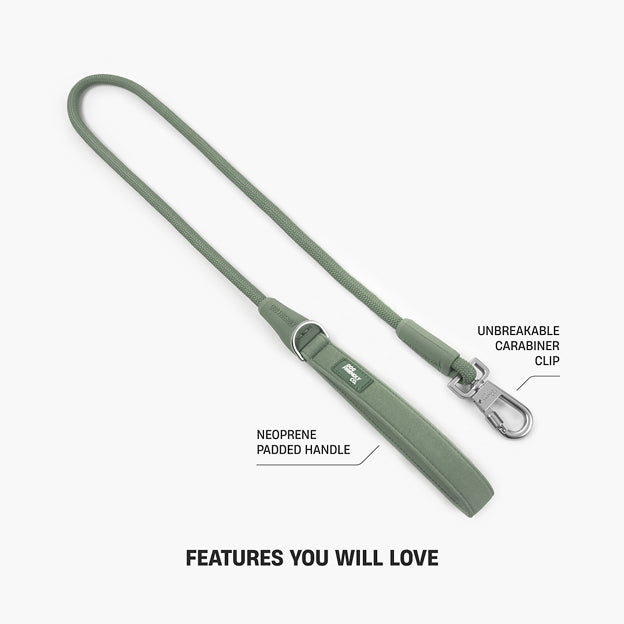 Halsband-Set für Spaziergänge - Khaki