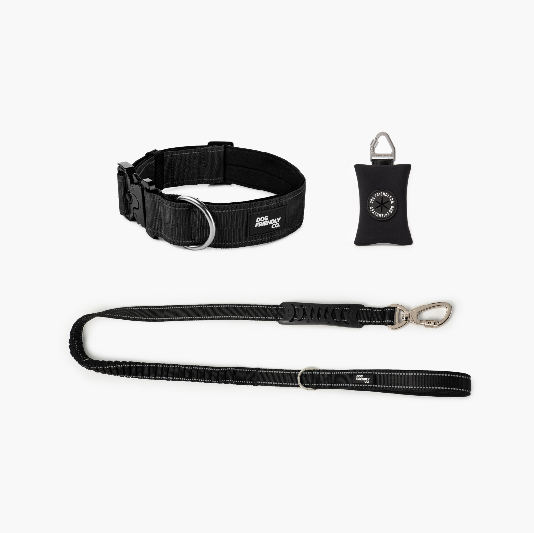 Halsband-Set für Spaziergänge - Schwarz
