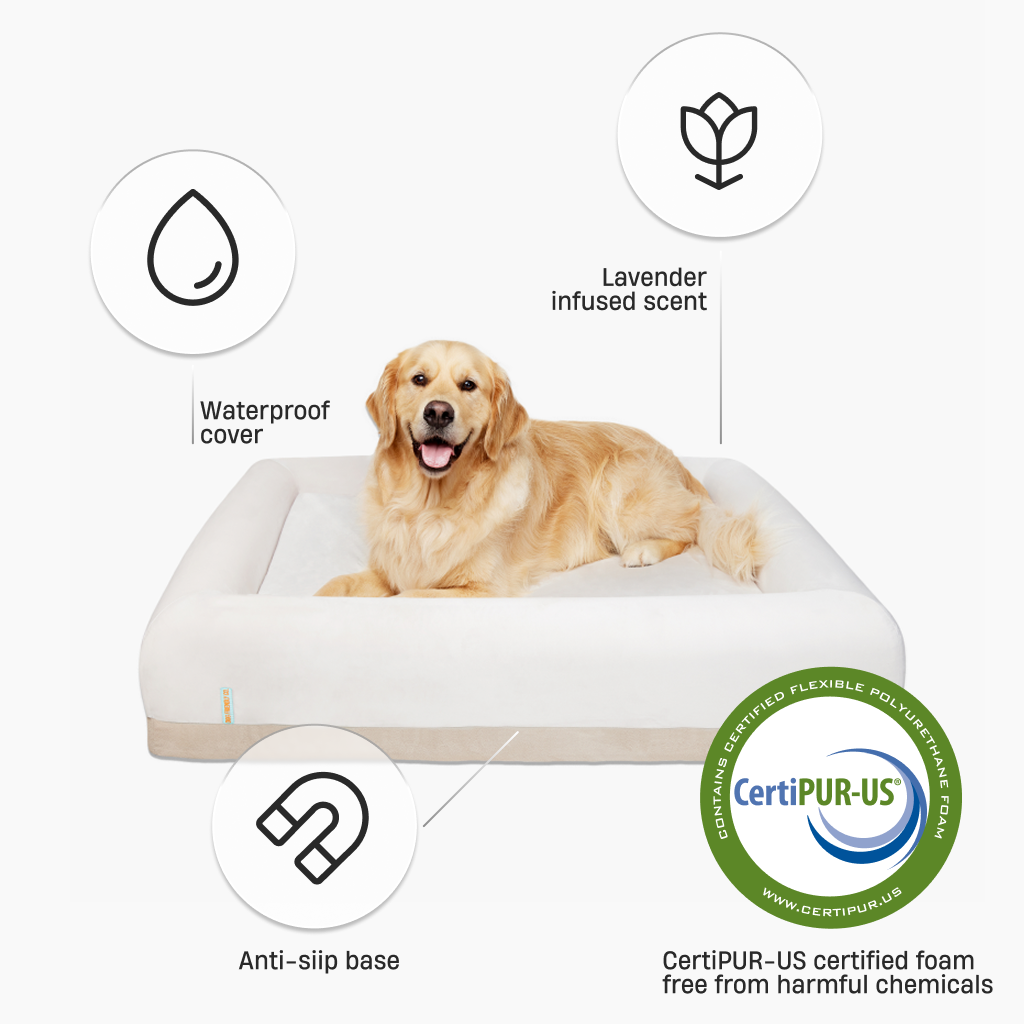 Premium Orthopädisches Memory-Schaum Hundebett - Champagner (Klein)