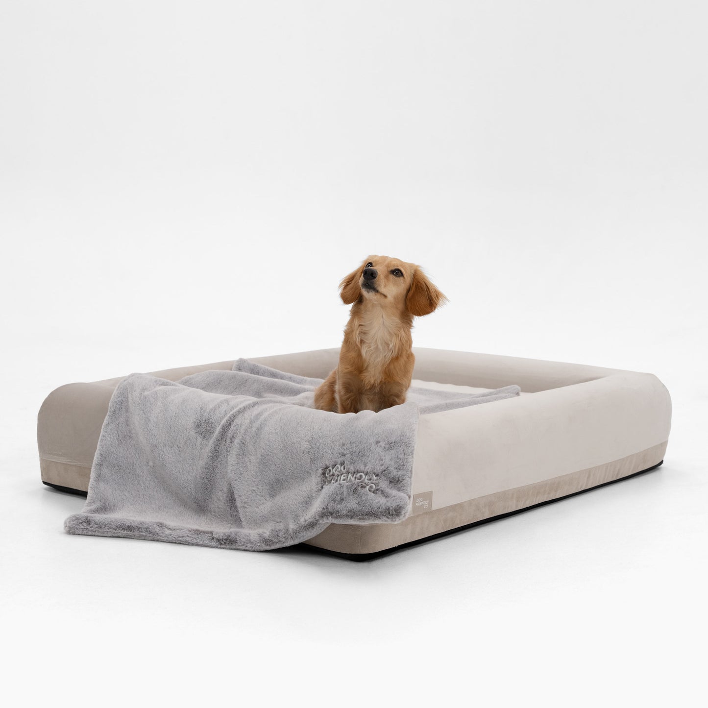 Premium Orthopädisches Memory-Schaum Hundebett - Champagner (Klein)