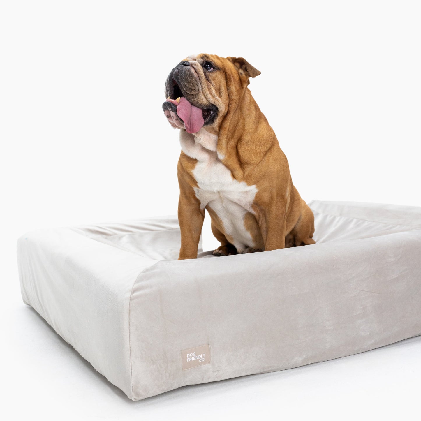 Velvet Easy Fit Hundebettbezug - Champagner