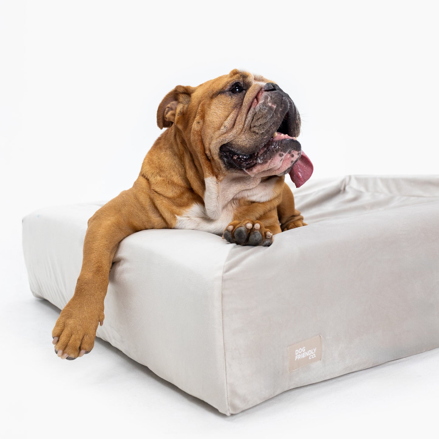 Velvet Easy Fit Hundebettbezug - Champagner