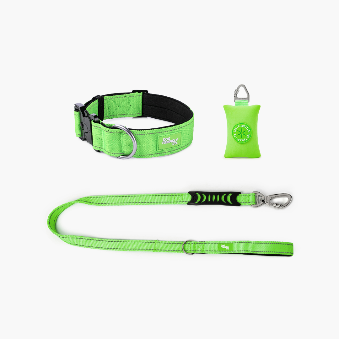 Halsband-Set für Spaziergänge - Neon Grün