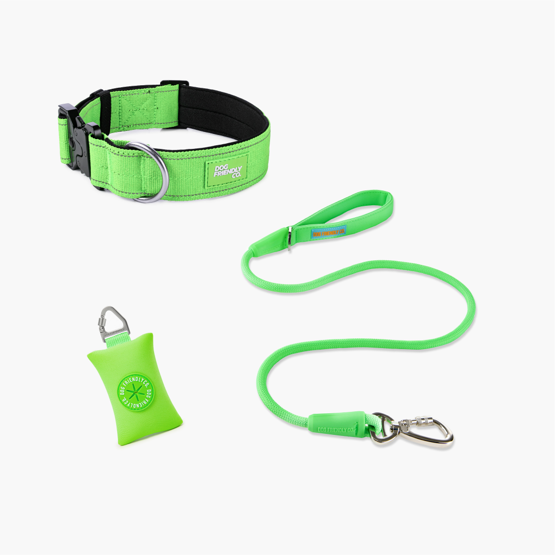 Halsband-Set für Spaziergänge - Neon Grün