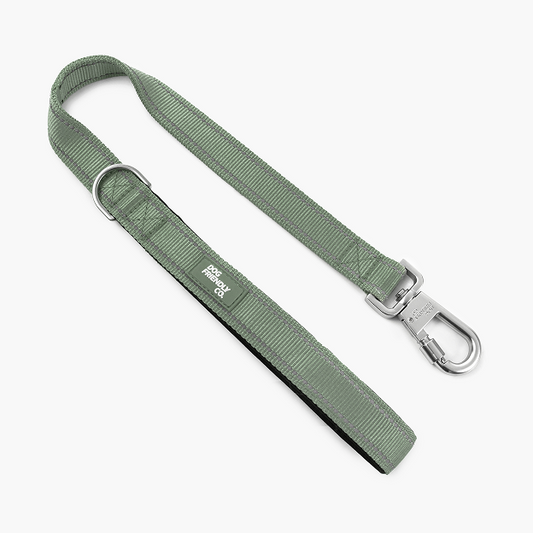 Kurze Trainingshundeleine - Khaki