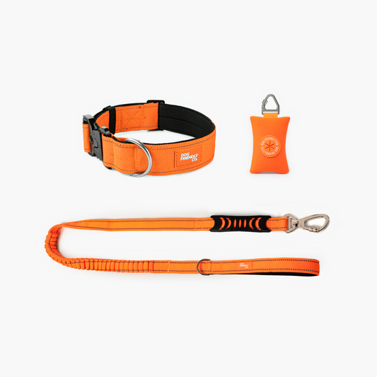 Halsband-Set für Spaziergänge - Signalorange