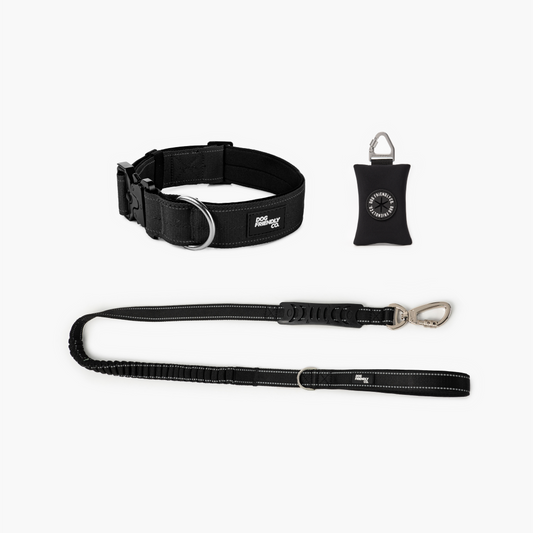 Halsband-Set für Spaziergänge - Schwarz