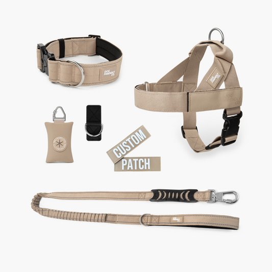 Walk Essentials - Braun