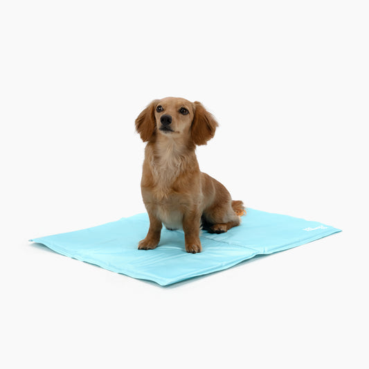 Hundekühlmatte