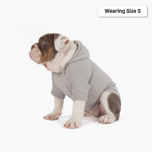 Winter Dog Hoodies - Grau