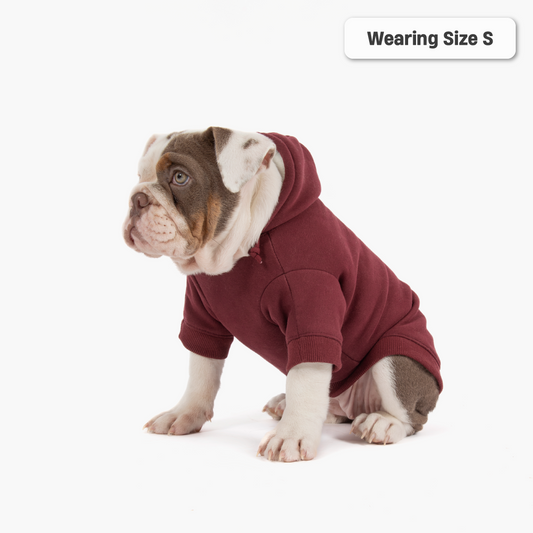 Winter Dog Hoodies - Bordeaux