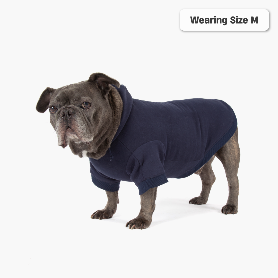Winter Dog Hoodies - Marineblau