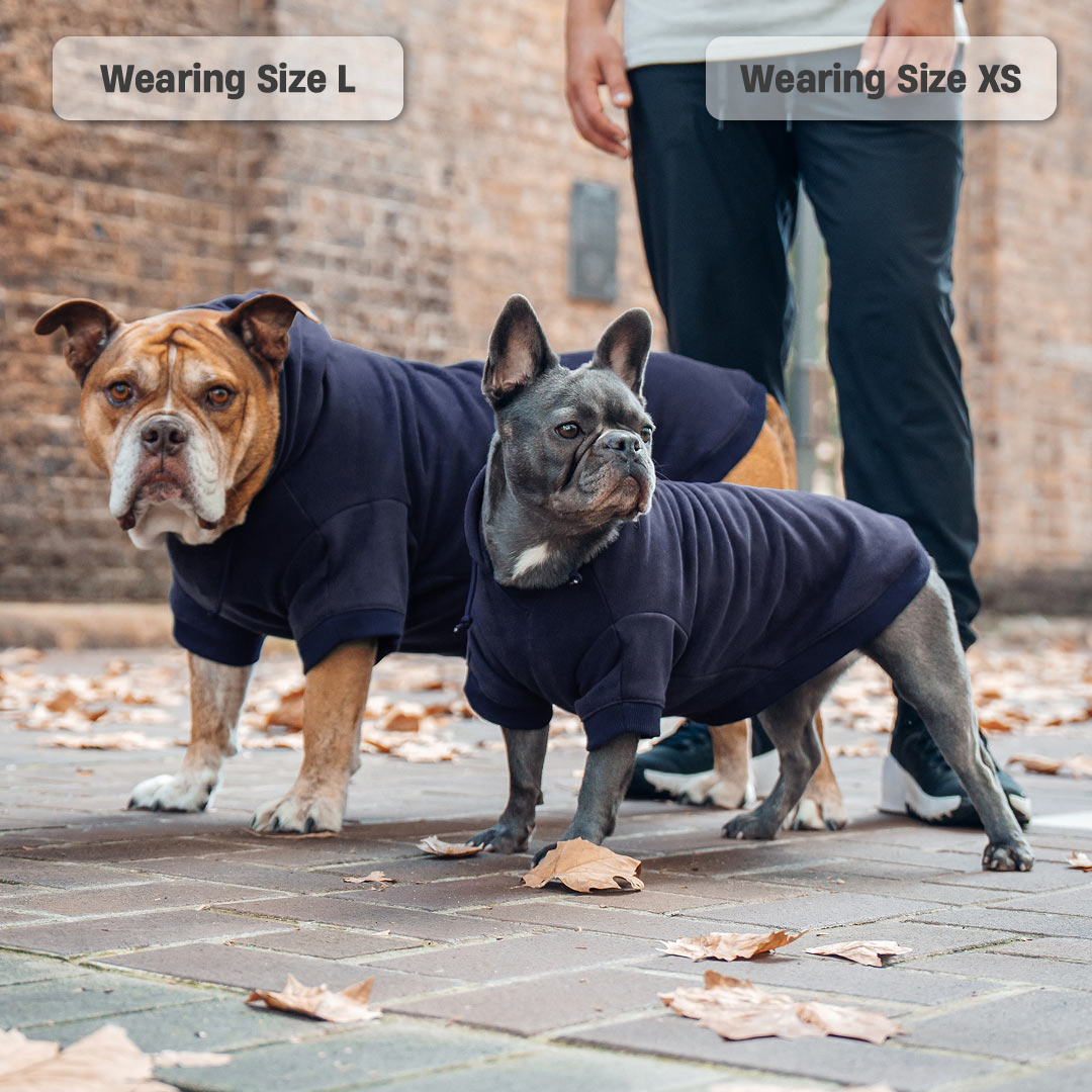 Winter Dog Hoodies - Marineblau