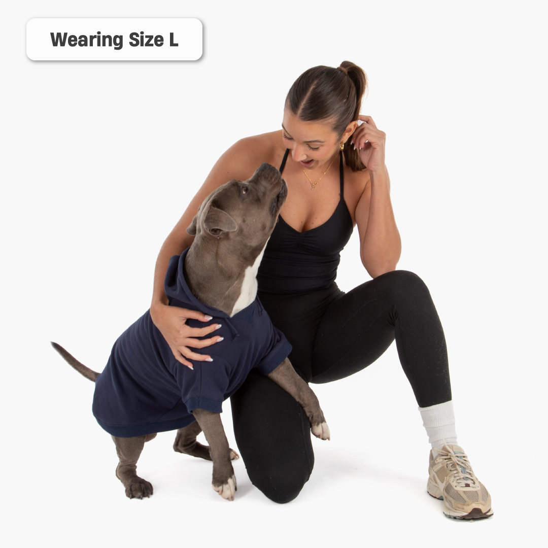 Winter Dog Hoodies - Marineblau