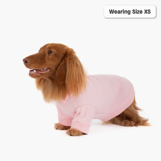 Winter Dog Hoodies - Rosa