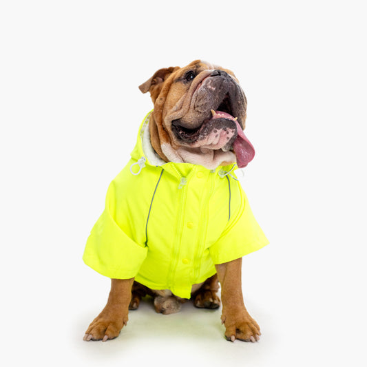 Storm Pro Regenmantel - Gelb