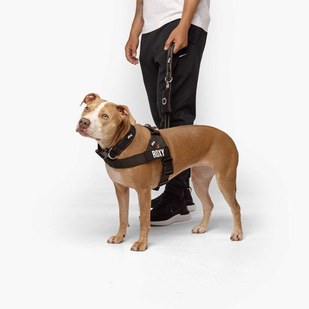 Walk Essentials - Schwarz