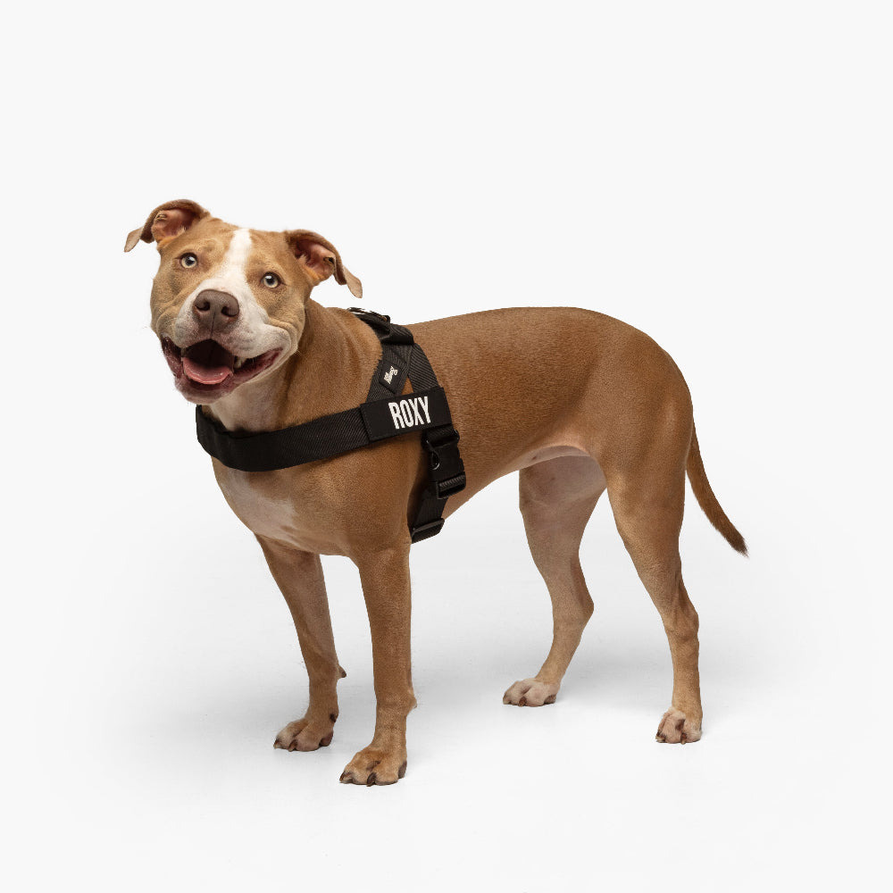 Walk Essentials - Schwarz