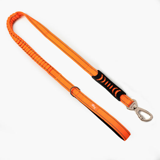 Bungee Hundeleine - Hi-Vis Orange
