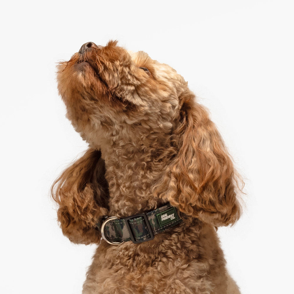 Taktisches Hundehalsband - Grünes Tarnmuster