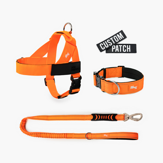 Dog Lovers Pack - Signalfarbe Orange