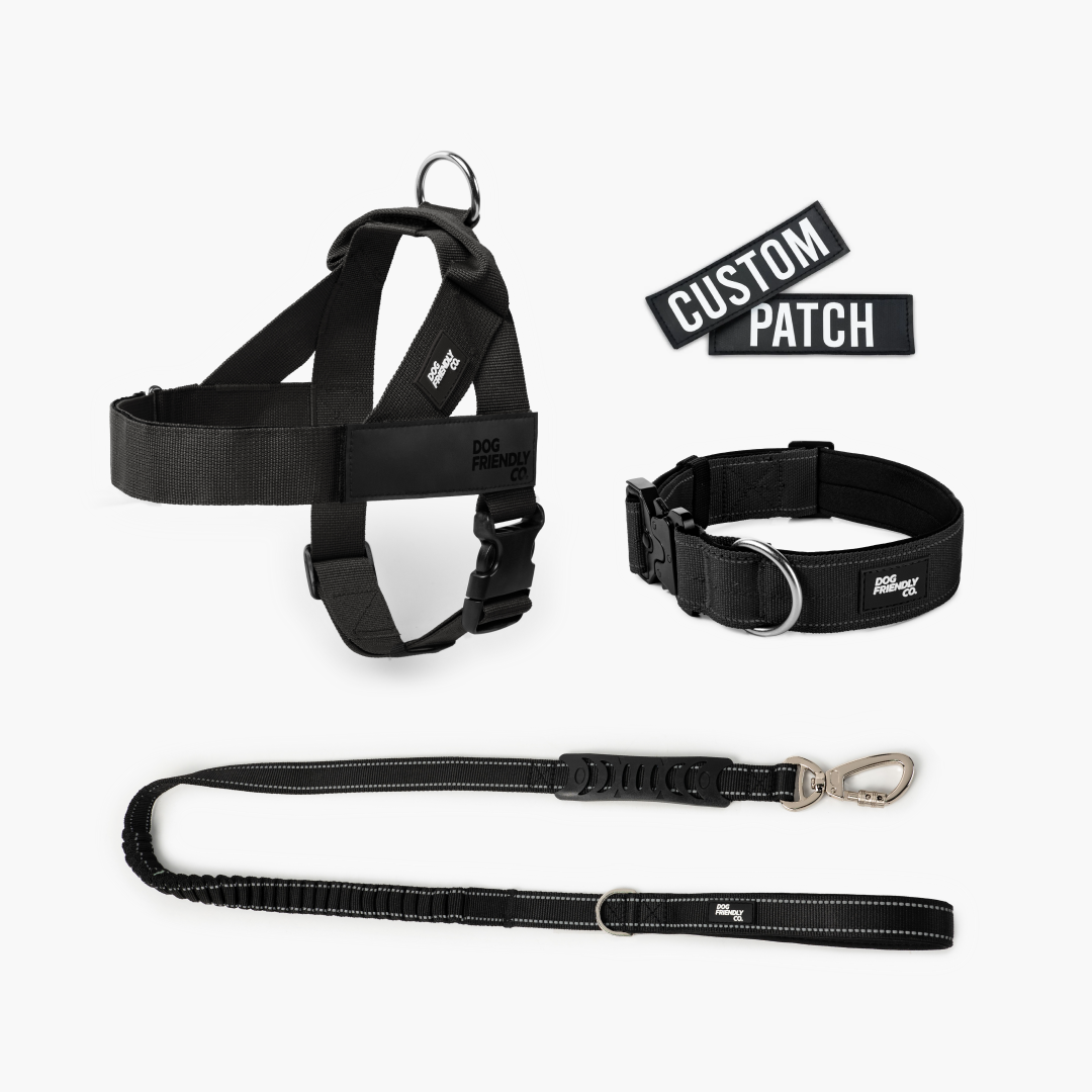 Hundeliebhaber-Paket - Schwarz