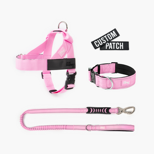 Hundeliebhaber-Paket - Rosa