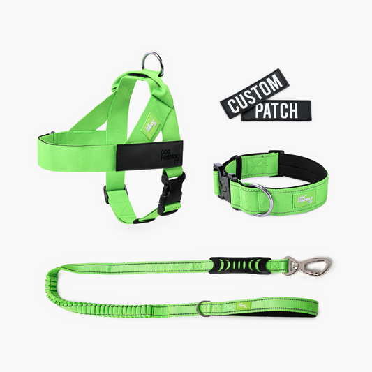 Hundeliebhaber-Paket - Neon Grün