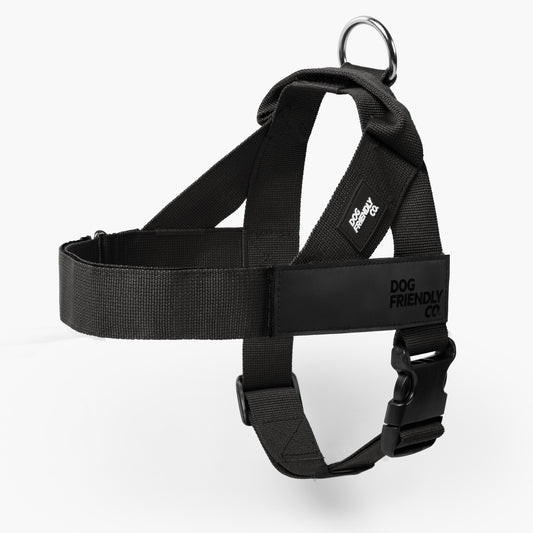 Hundegeschirr - Schwarz