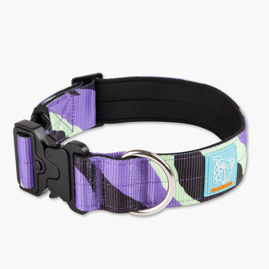 Taktisches Hundehalsband - Walk#001 Violett