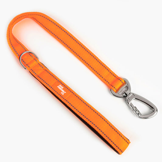 Kurze Trainingshundeleine - Hi-Vis Orange