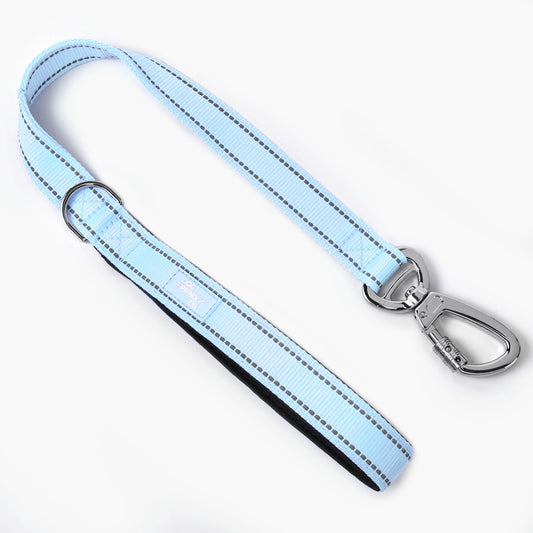 Kurze Trainingshundeleine - Himmelblau