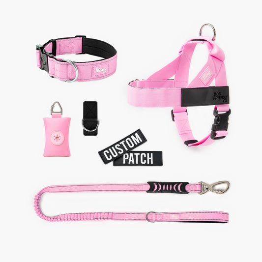 Walk Essentials - Rosa