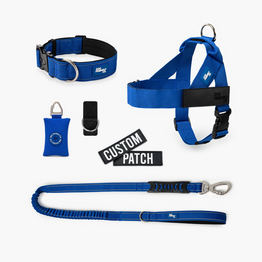 Walk Essentials - Klassisches Blau