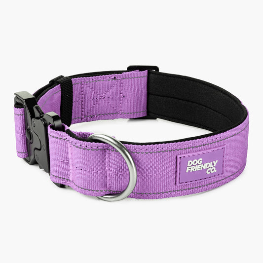 Taktisches Hundehalsband - Violett
