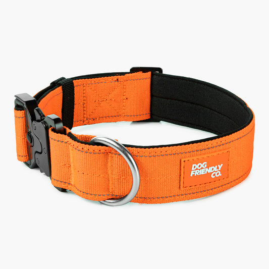 Taktisches Hundehalsband - Orange