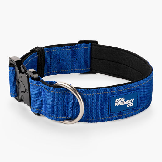 Taktisches Hundehalsband - Klassisches Blau