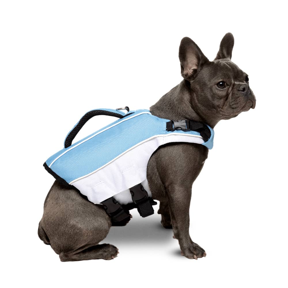 Hund Schwimmweste