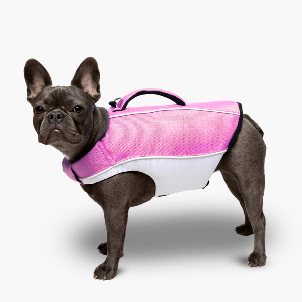 Hund Schwimmweste