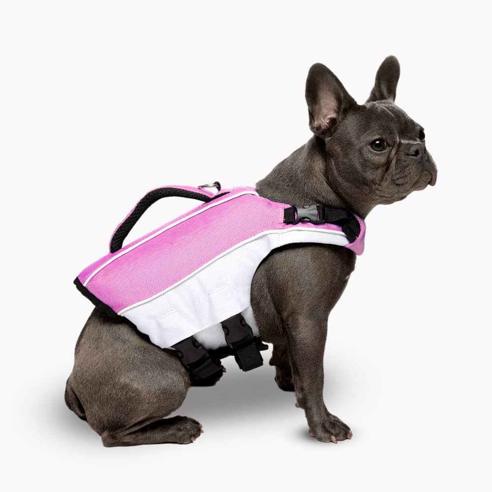 Hund Schwimmweste